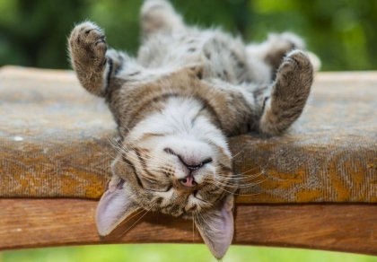 4 beneficios psicológicos de dormir la siesta