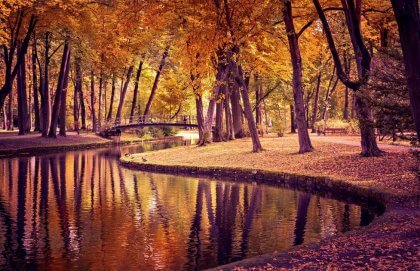 paysage naturel avec des arbres
