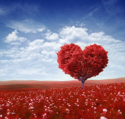 heart tree