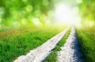 3 instintos que no suelen fallar
