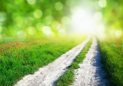 3 instintos que no suelen fallar