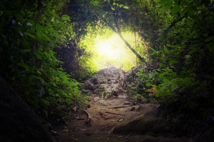 Tiré la toalla que protegía mis sueños y caí en un tunel oscuro