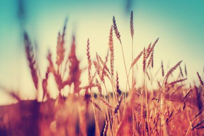 ¡Aplica la abundancia a tu vida!