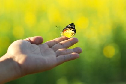 Cómo dar un giro positivo a la vida en solo 4 semanas