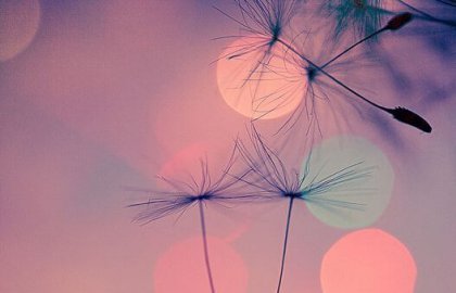 Encontrar respuestas en malos momentos es terapéutico