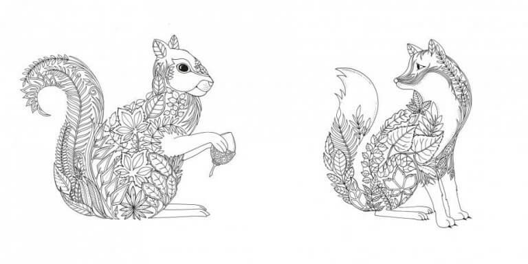 Dibujo de una ardilla y un zorro