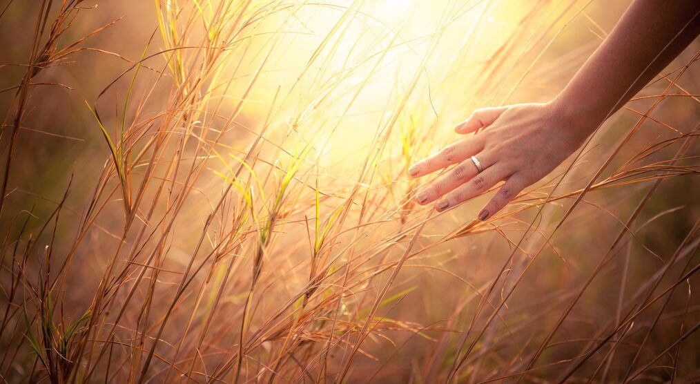 Mano tocando la hierba