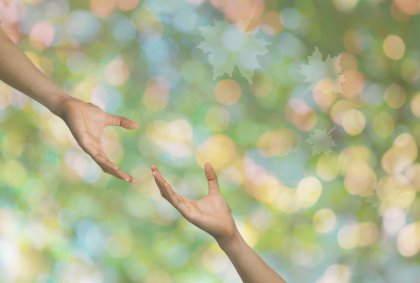 El apego: la mayor fuente de sufrimiento