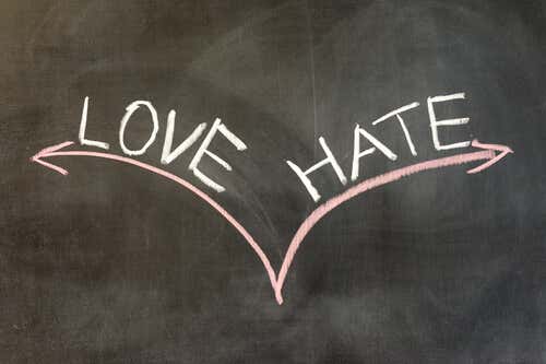 Sentiments d'amour haine