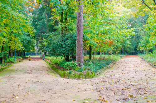 No hay que dejar de hacerse preguntas