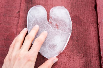 Nada termina, todo se transforma