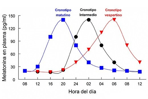 Melatonina-en-sangre