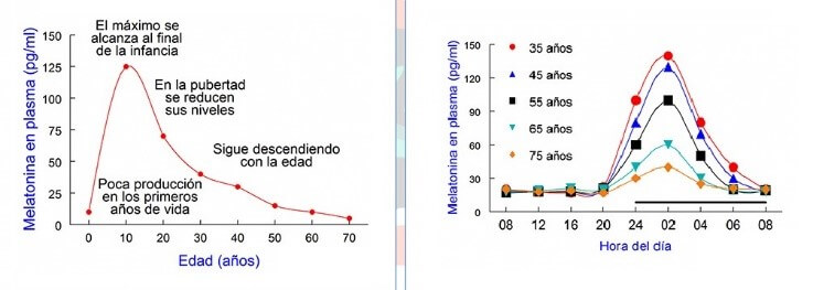 Niveles de melatonina según la edad