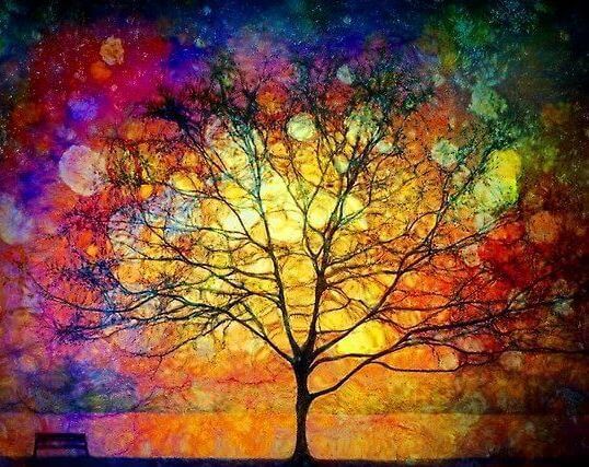 arbol colores (1)