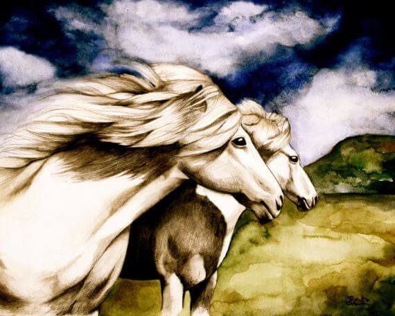 Caballos simbolizando la libertad del desapego