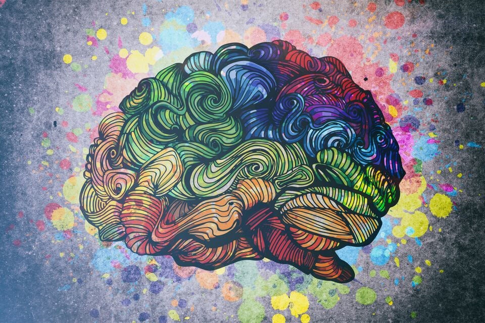 Cerebro de colores representando la relación entre la creatividad y el trastorno bipolar