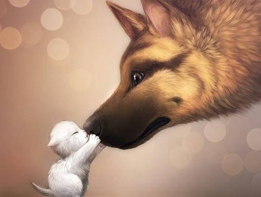 chiens qui jouent