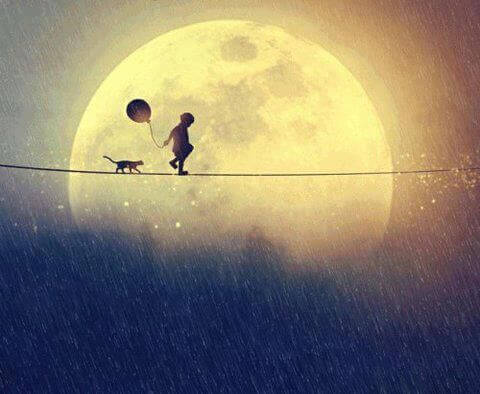 Niño caminando con su gato