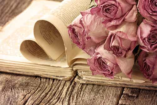 Rosas marchitas sobre libro con hojas abiertas