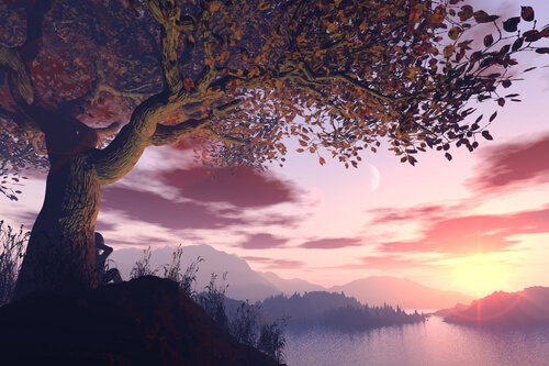 Paysage coucher de soleil