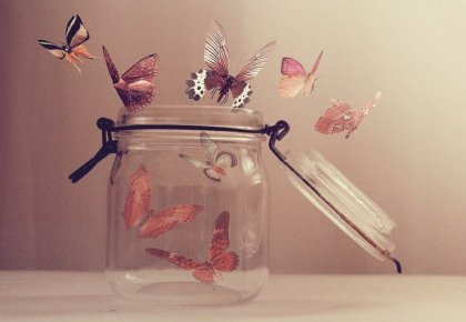 Donde no puedas amar, no te demores