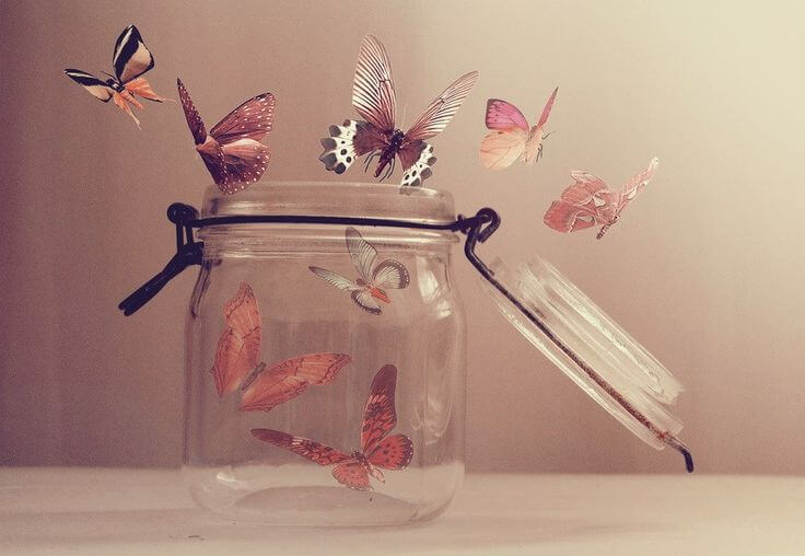 bote cristal con mariposas saliendo