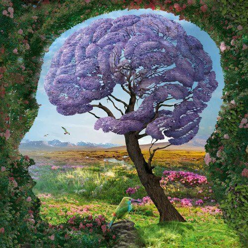 cerebro naturaleza