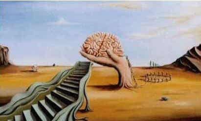 Dalí cerebro