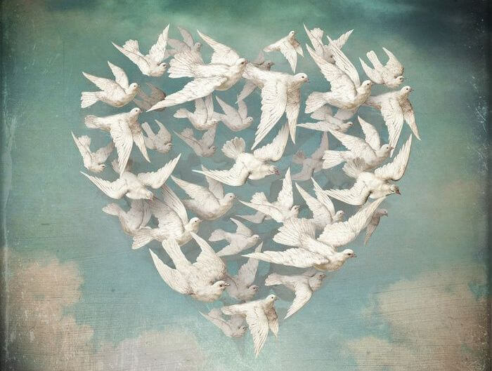 Palomas formando un corazón