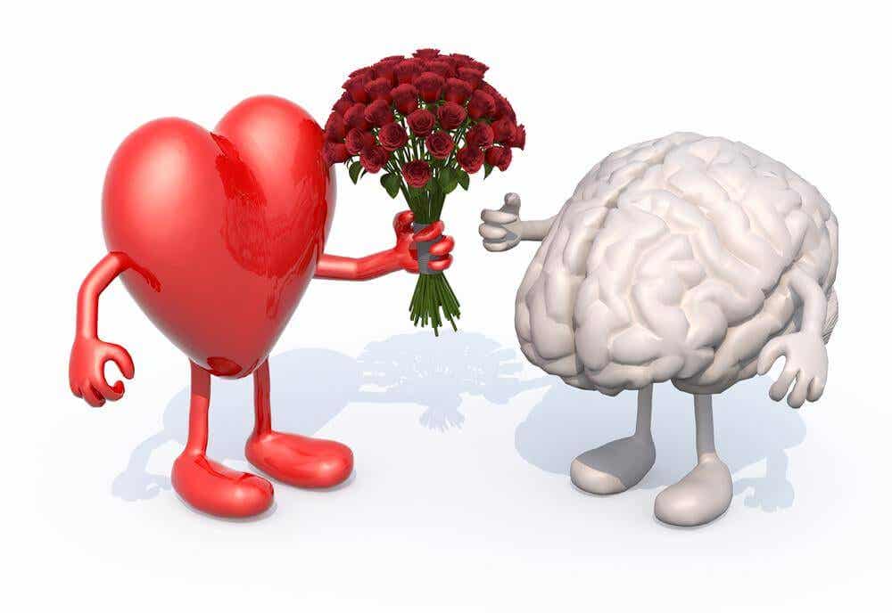 Heart giving a bouquet of flowers to a brain