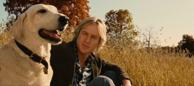 Hombre-con-un-perro-en-el-campo