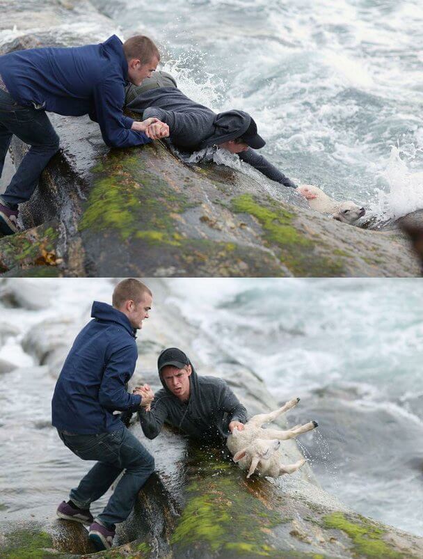 Chicos salvando a un cordero en el mar