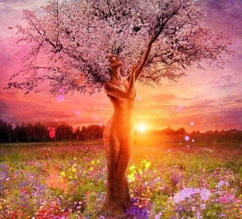 arbre en forme de femme