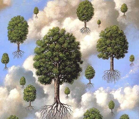 arbres avec des racines
