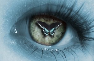 Ojo con una mariposa en la pupila