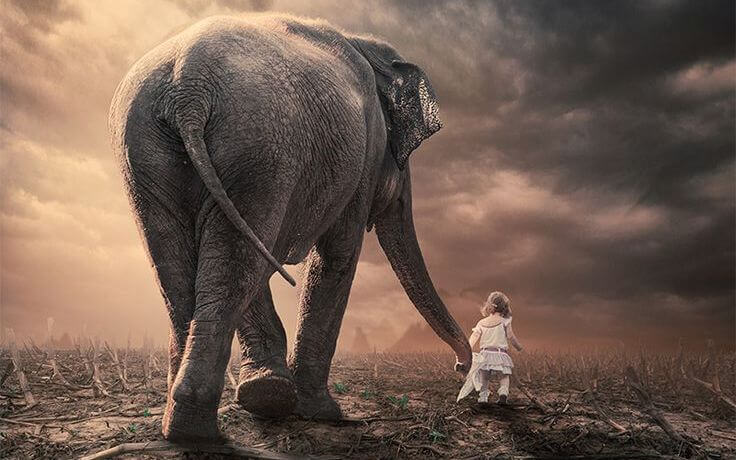 niña con elefante