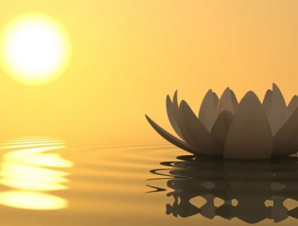 29 frases del zen para vivir de manera diferente