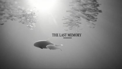 Este emotivo corto sobre el océano te enseñará una realidad que debes saber