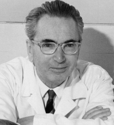 10 lecciones de Viktor Frankl sobre la adversidad