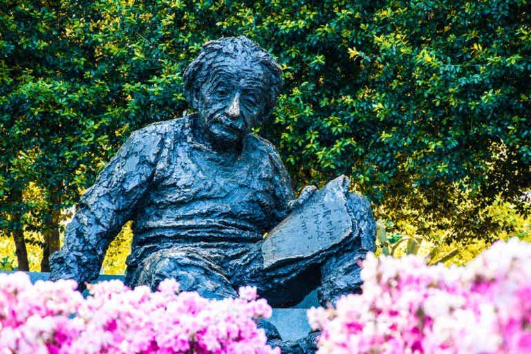33 grandes citas de Albert Einstein que te harán reflexionar