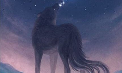 wolf howling