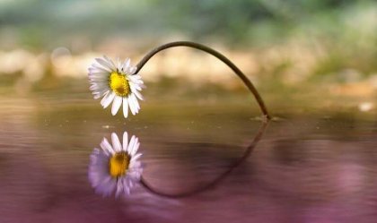 El tiempo demuestra que lo bueno llega en cualquier momento