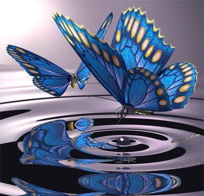 mariposa cambios