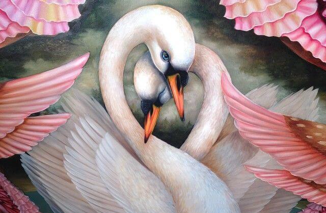 pareja de cisnes