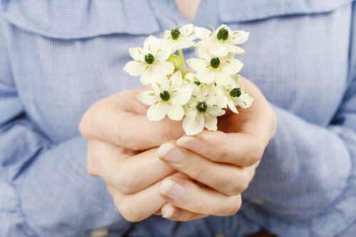Manos ofreciendo flores para perdonar