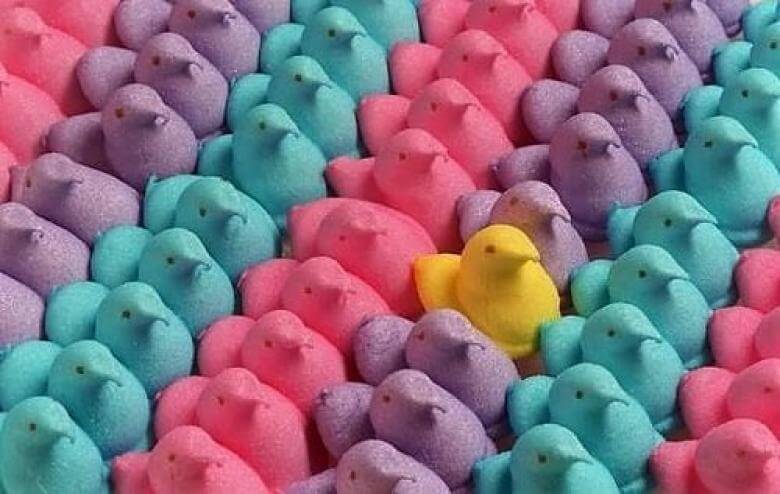 Patos de colores perfectamente ordenador