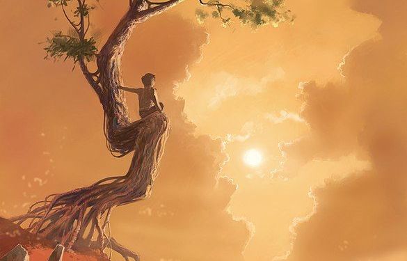 niño subido a un árbol frente a un atardeceer