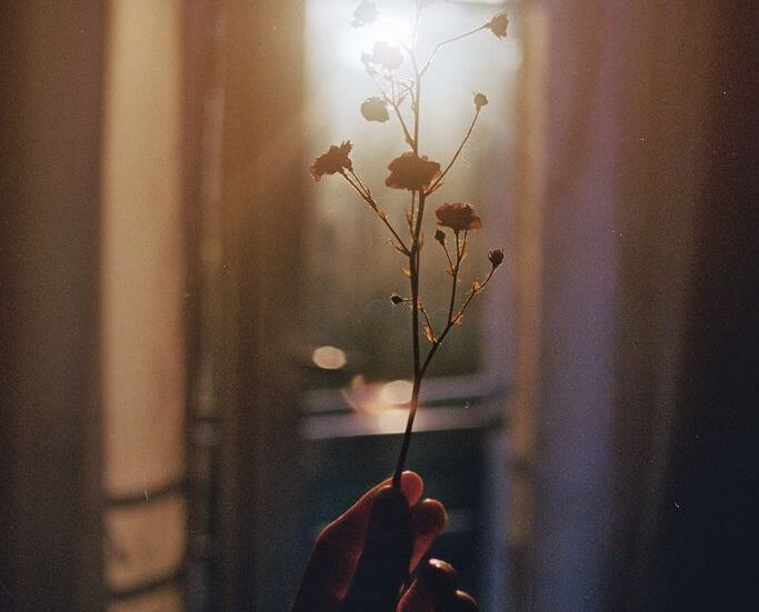 Main avec une fleur représentant comment revendiquer avec assurance