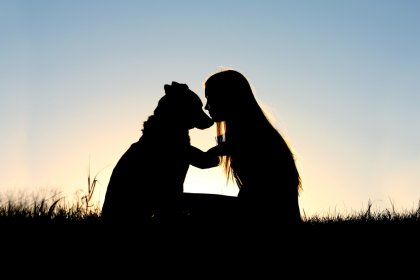 Qué nos enseñan los animales