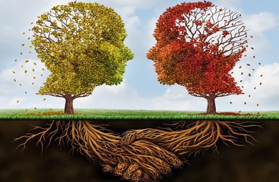 árboles-en-forma-de-cerebro